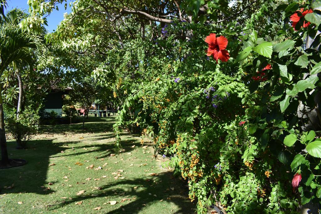 Nona Lani Cottages Кихей Экстерьер фото